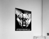 Steppenwolf 6 Acrylic Print