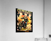 Steppenwolf 8 Acrylic Print