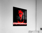 Steppenwolf 12 Acrylic Print