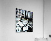 Steppenwolf 26 Acrylic Print