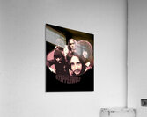 Steppenwolf 43 Acrylic Print