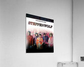 Steppenwolf 44 Acrylic Print