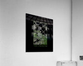 The Cranberries 26 Acrylic Print