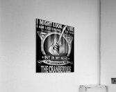 The Cranberries 33 Acrylic Print