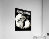The Cure 12 Acrylic Print