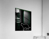 The Matrix 20 Acrylic Print