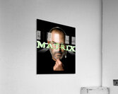 The Matrix 29 Acrylic Print