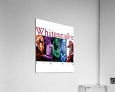 Whitesnake 6 Acrylic Print
