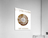 Whitesnake 43 Acrylic Print