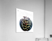 Whitesnake 48 Acrylic Print