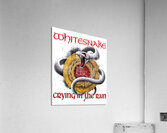 Whitesnake 6 Acrylic Print