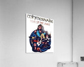Whitesnake 16 Acrylic Print