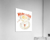 Whitesnake 18 Acrylic Print