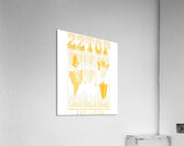 ZZ Top 40 Acrylic Print
