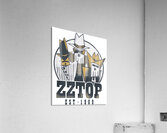 ZZ Top 42 Acrylic Print