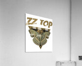 ZZ Top 19 Acrylic Print