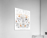 ZZ Top 42 Acrylic Print