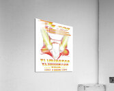 ZZ Top 48 Acrylic Print