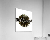 38 Special 24 Acrylic Print