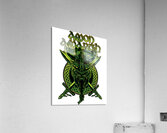 Amon Amarth 3 Acrylic Print