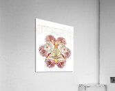 Amorphis 8 Acrylic Print