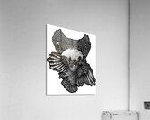 Amorphis 31 Acrylic Print