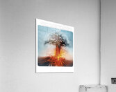 Amorphis 51 Acrylic Print