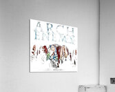 Arch Enemy 29 Acrylic Print