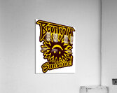 Beartooth 4 Acrylic Print