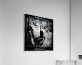 Beartooth 12 Acrylic Print