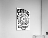 Beartooth 15 Acrylic Print