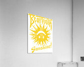 Beartooth 35 Acrylic Print
