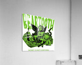 Beartooth 43 Acrylic Print