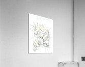 Beartooth 47 Acrylic Print