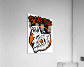 Beartooth 49 Acrylic Print