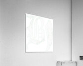 Beartooth 53 Acrylic Print