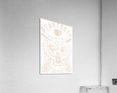 Beartooth 22 Acrylic Print