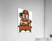 Beartooth 32 Acrylic Print
