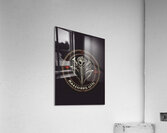 Baldurs Gate 3 Acrylic Print