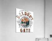 Baldurs Gate 63 Acrylic Print