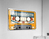 Behemoth 17 Acrylic Print