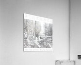 Behemoth 28 Acrylic Print