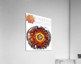 Breaking Benjamin 11 Acrylic Print