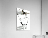 Deftones 10 Acrylic Print