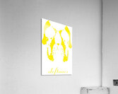 Deftones 42 Acrylic Print