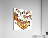Disturbed 12 Acrylic Print