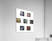 Elden Ring 21 Acrylic Print