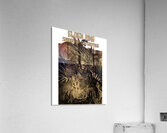 Elden Ring 13 Acrylic Print