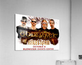 Godsmack 17 Acrylic Print