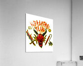 Hellfire Club 44 Acrylic Print